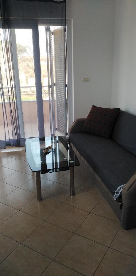 Apartman Valbandon 파자나 외부 사진