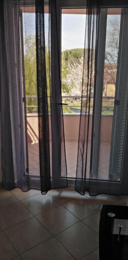 Apartman Valbandon 파자나 외부 사진