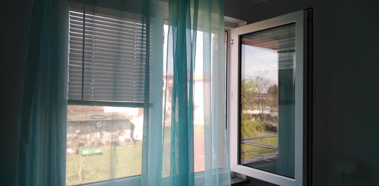 Apartman Valbandon 파자나 외부 사진