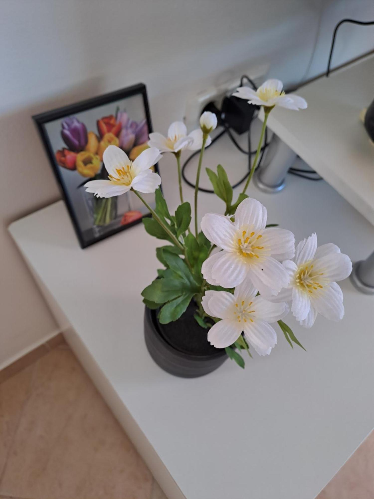 Apartman Valbandon 파자나 외부 사진